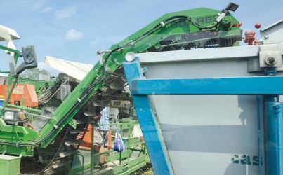 campagna pomodoro industria