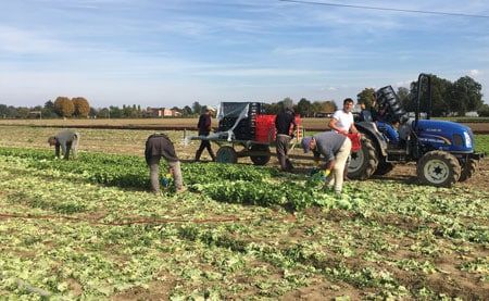 lavoratori agricoli