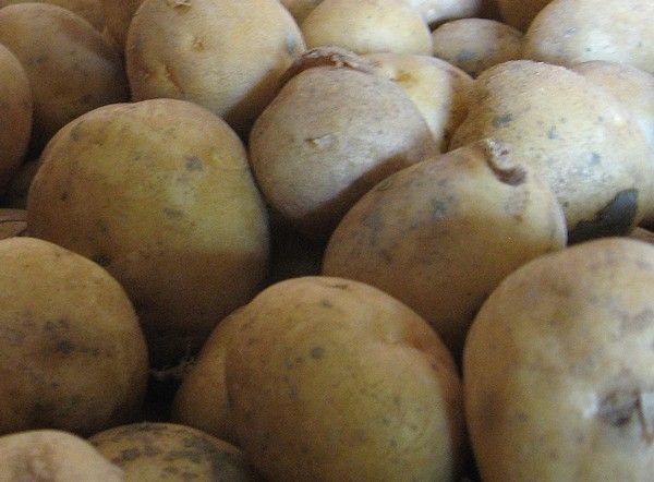 patate