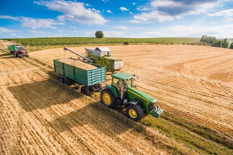 campagna cerealicola