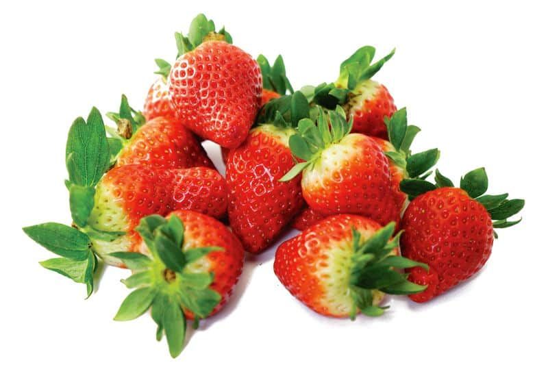 fragole