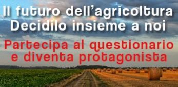 questionario